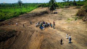 Affordable Farmland for Sale