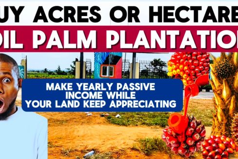AFFORDABLE FARM LAND FOR SALE IN OGUN STATE