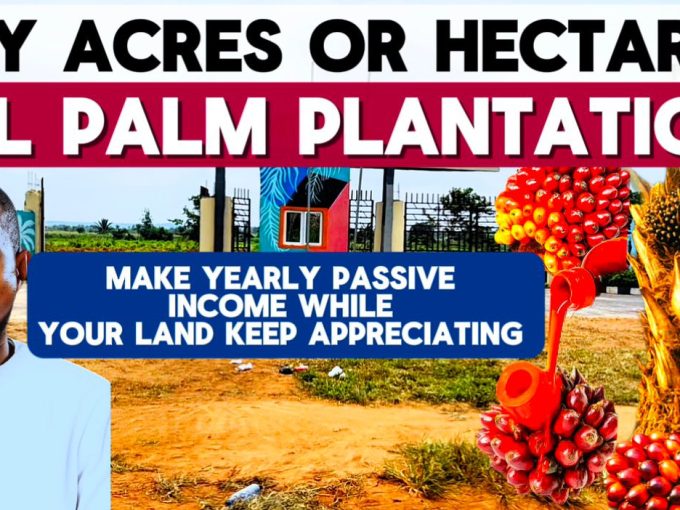 AFFORDABLE FARM LAND FOR SALE IN OGUN STATE