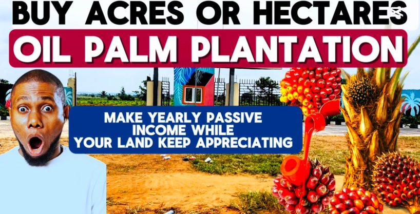 AFFORDABLE FARM LAND FOR SALE IN OGUN STATE