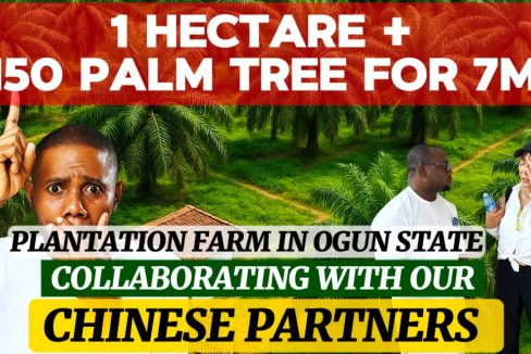 AFFORDABLE FARM LAND FOR SALE IN OGUN STATE