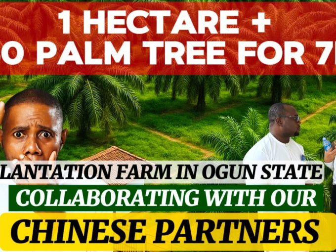 AFFORDABLE FARM LAND FOR SALE IN OGUN STATE