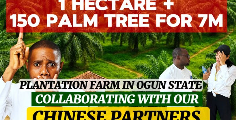 AFFORDABLE FARM LAND FOR SALE IN OGUN STATE