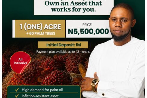 Nova Palm City oil palm investment estate in Abeokuta Ogun State offering farmland for sale with Freehold title and long-term passive income opportunities.
