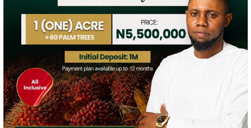 Nova Palm City oil palm investment estate in Abeokuta Ogun State offering farmland for sale with Freehold title and long-term passive income opportunities.